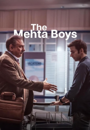 The Mehta Boys