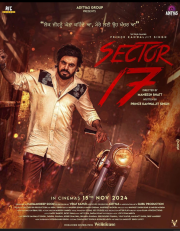 Sector 17