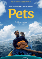 Pets
