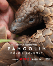 Pangolin: Kulu’s Journey