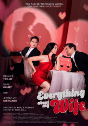 Everything About My Wife